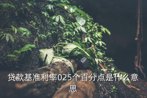 貸款基準利率025個百分點是什么意思