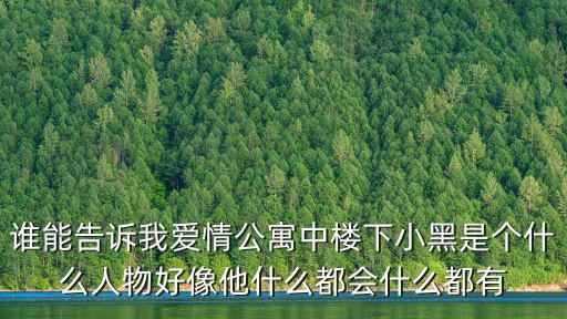 誰能告訴我愛情公寓中樓下小黑是個什么人物好像他什么都會什么都有