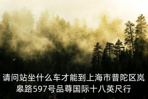 請問站坐什么車才能到上海市普陀區嵐皋路597號品尊國際十八英尺行
