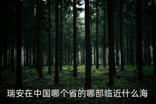 瑞安港，浙江瑞安的海在哪