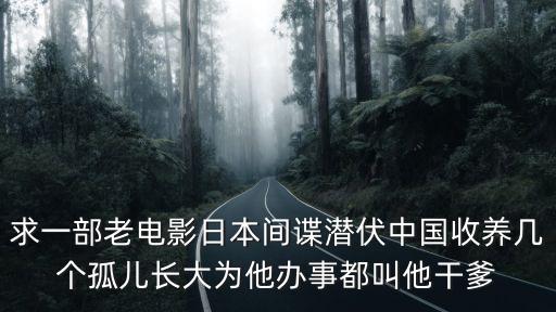 求一部老電影日本間諜潛伏中國收養幾個孤兒長大為他辦事都叫他干爹