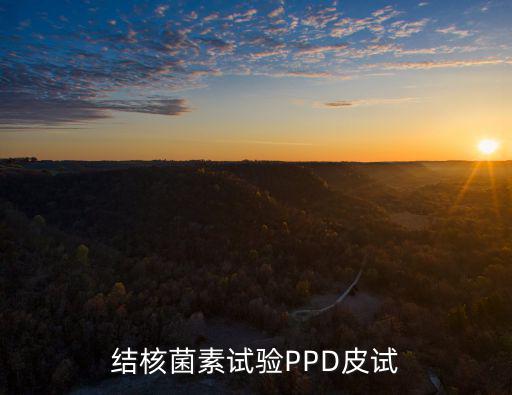 結核菌素試驗PPD皮試