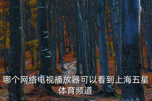 哪個網(wǎng)絡(luò)電視播放器可以看到上海五星體育頻道