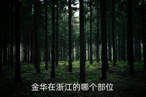 金華在浙江的哪個部位