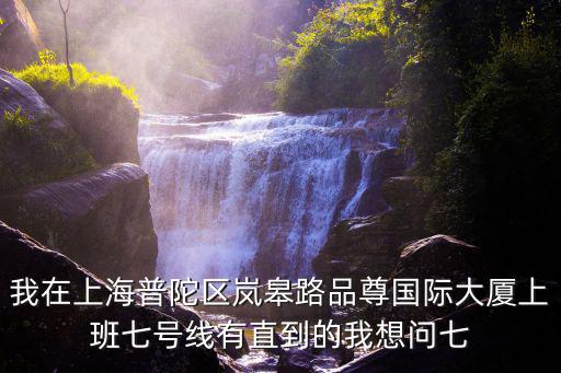 我在上海普陀區嵐皋路品尊國際大廈上班七號線有直到的我想問七