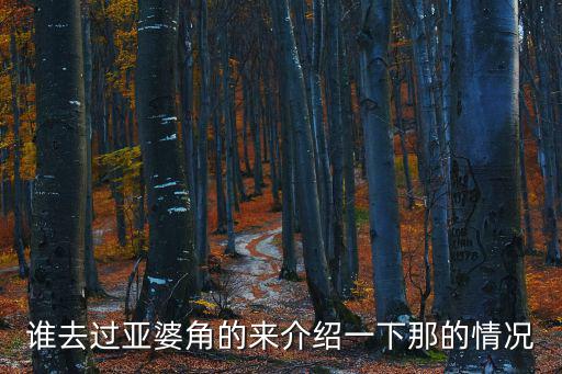 亞婆角，誰去過亞婆角的來介紹一下那的情況