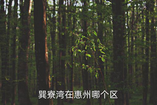 惠州巽寮灣，巽寮灣在惠州哪個區