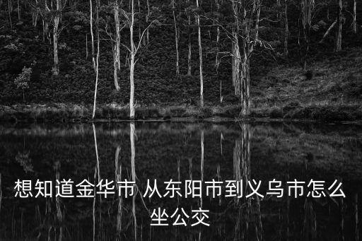 想知道金華市 從東陽(yáng)市到義烏市怎么坐公交