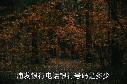 浦發銀行電話，浦發銀行客服電話是多少