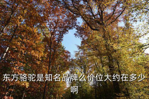 東方駱駝是知名品牌么價位大約在多少啊
