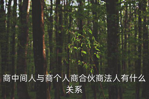 商個(gè)人，商主體中屬于商個(gè)人的是