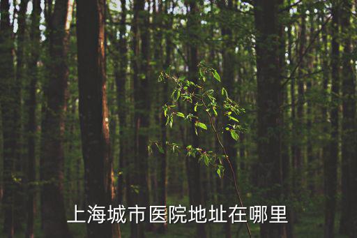 上海城市醫院，上海城市皮膚科醫院