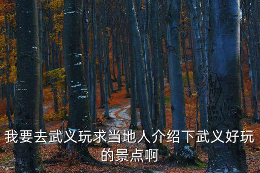 我要去武義玩求當?shù)厝私榻B下武義好玩的景點啊