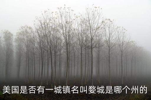 美國是否有一城鎮名叫婺城是哪個州的