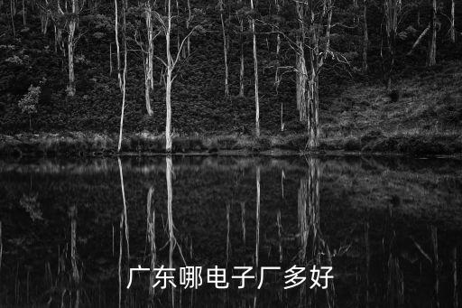 廣東省電子，廣東哪電子廠多好