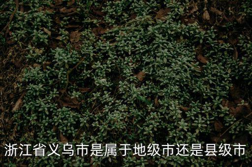 浙江省義烏市是屬于地級市還是縣級市