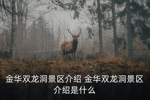 雙龍洞景區(qū)，雙龍洞的簡介