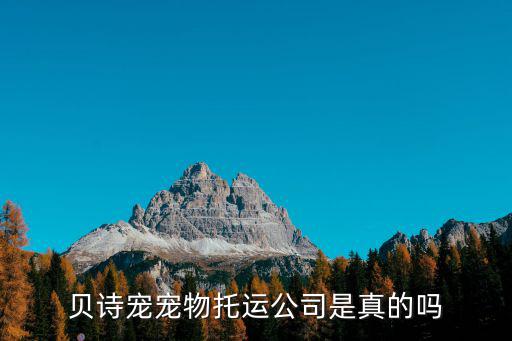 貝詩寵寵物托運公司是真的嗎