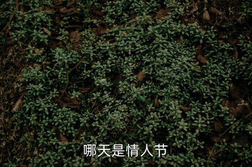 哪天是情人節(jié)