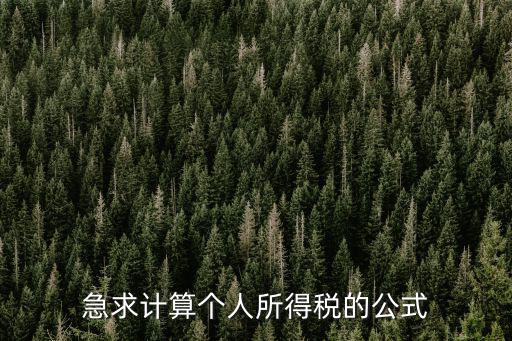 急求計(jì)算個(gè)人所得稅的公式