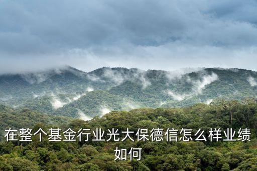 在整個基金行業光大保德信怎么樣業績如何