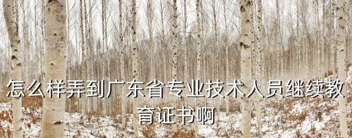 怎么樣弄到廣東省專(zhuān)業(yè)技術(shù)人員繼續(xù)教育證書(shū)啊