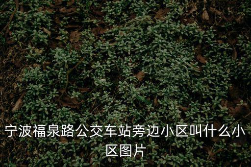 福泉苑，上海香泉路85弄小區(qū)叫什么小區(qū)