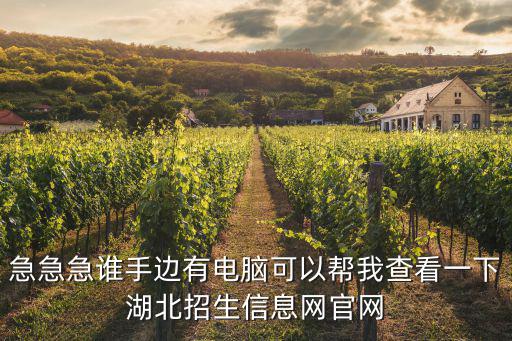 湖北招生信息網手機版，湖北高考招生報名網是多少