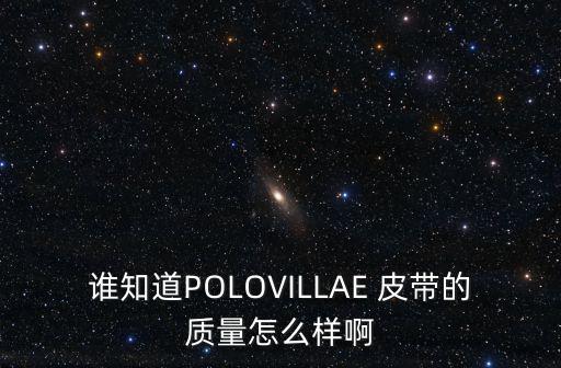誰知道POLOVILLAE 皮帶的質(zhì)量怎么樣啊