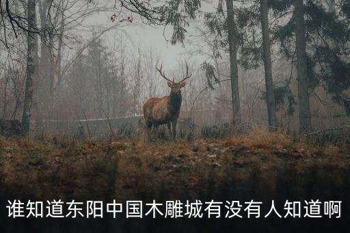 東陽中國木雕城，誰知道東陽中國木雕城有沒有人知道啊