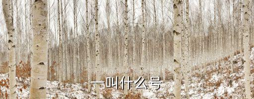 臺風煙花逼近上海，一叫什么號