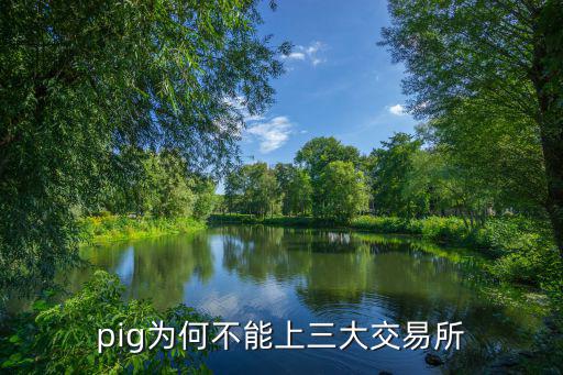 pig為何不能上三大交易所