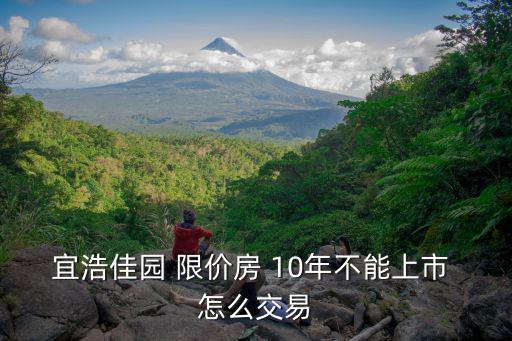 宜浩佳園 限價房 10年不能上市 怎么交易