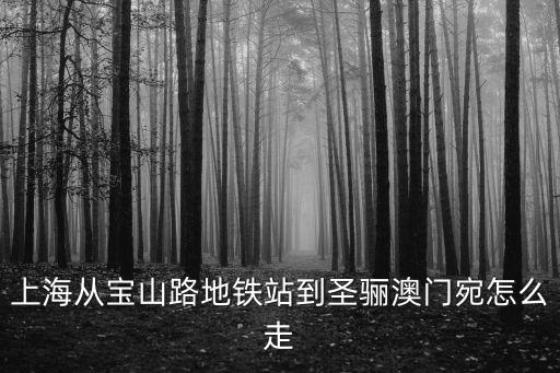 上海從寶山路地鐵站到圣驪澳門宛怎么走