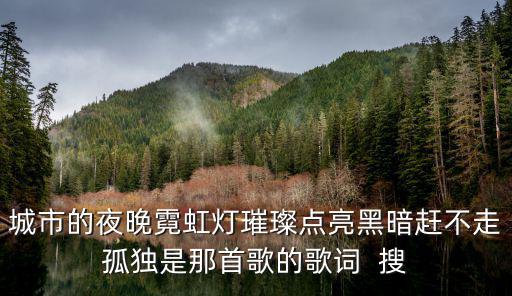 城市之夜，城市的夜是什么是什么