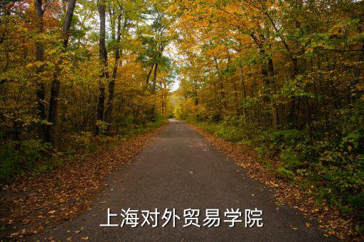上海對外貿(mào)易學(xué)院