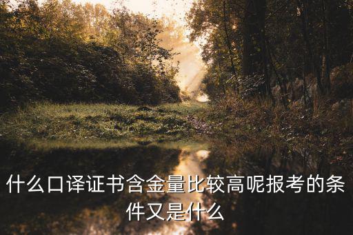 什么口譯證書含金量比較高呢報考的條件又是什么