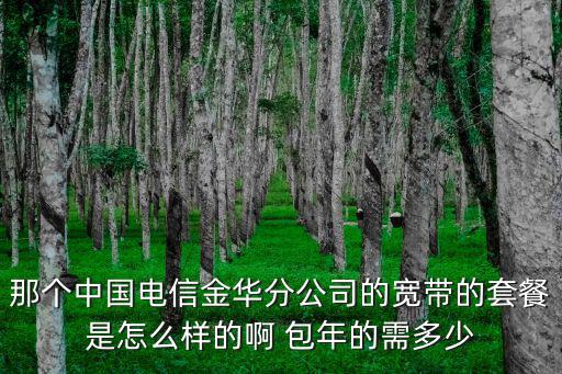 那個(gè)中國(guó)電信金華分公司的寬帶的套餐是怎么樣的啊 包年的需多少