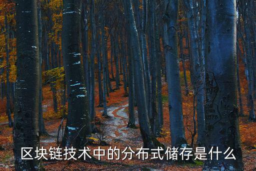 區(qū)塊鏈技術(shù)中的分布式儲存是什么