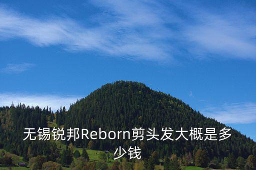 無錫銳邦Reborn剪頭發(fā)大概是多少錢