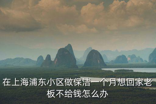 在上海浦東小區做保潔一個月想回家老板不給錢怎么辦