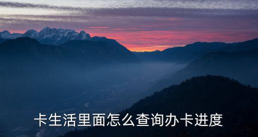 卡生活里面怎么查詢辦卡進度