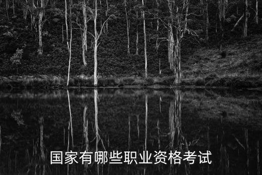 國家有哪些職業(yè)資格考試