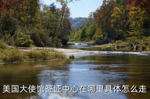 美國簽證中心，什么是美國全國簽證中心