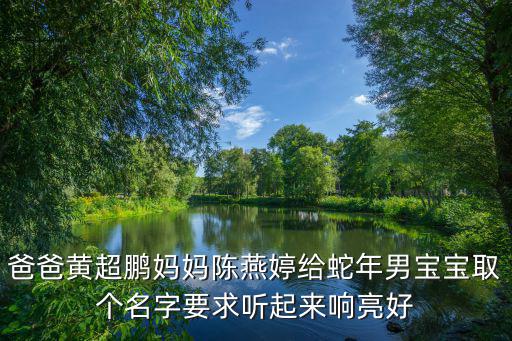 黃超鵬，爸爸黃超鵬媽媽陳燕婷給蛇年男寶寶取個名字要求聽起來響亮好