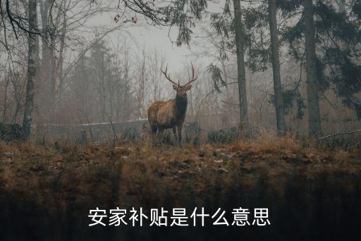 安家補貼是什么意思