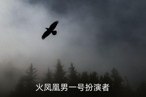 火鳳凰男一號扮演者