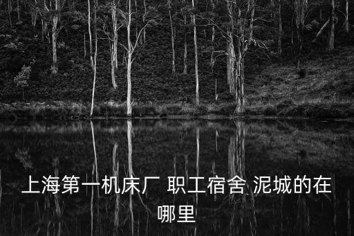 泥城，江蘇省連云港市有泥城鎮嗎