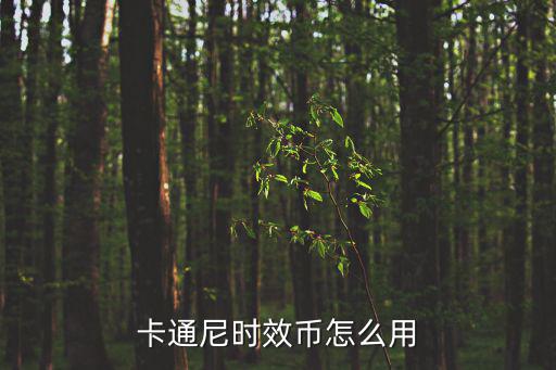 卡通尼樂園，卡通尼時(shí)效幣怎么用