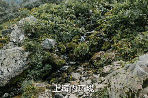 上海內(nèi)環(huán)線